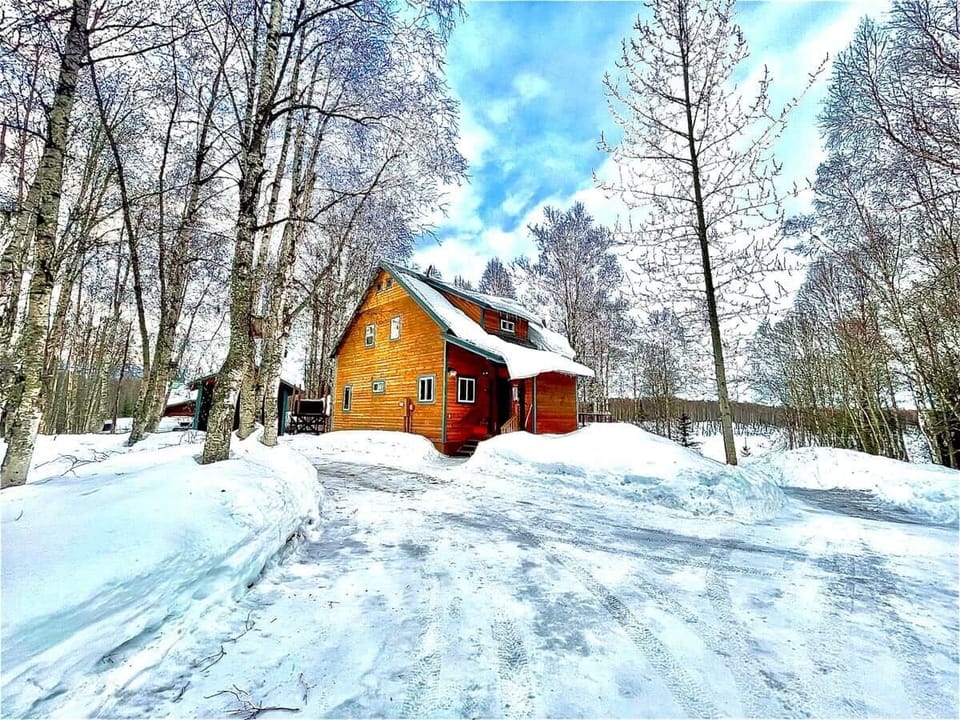 Our winter wonderland 