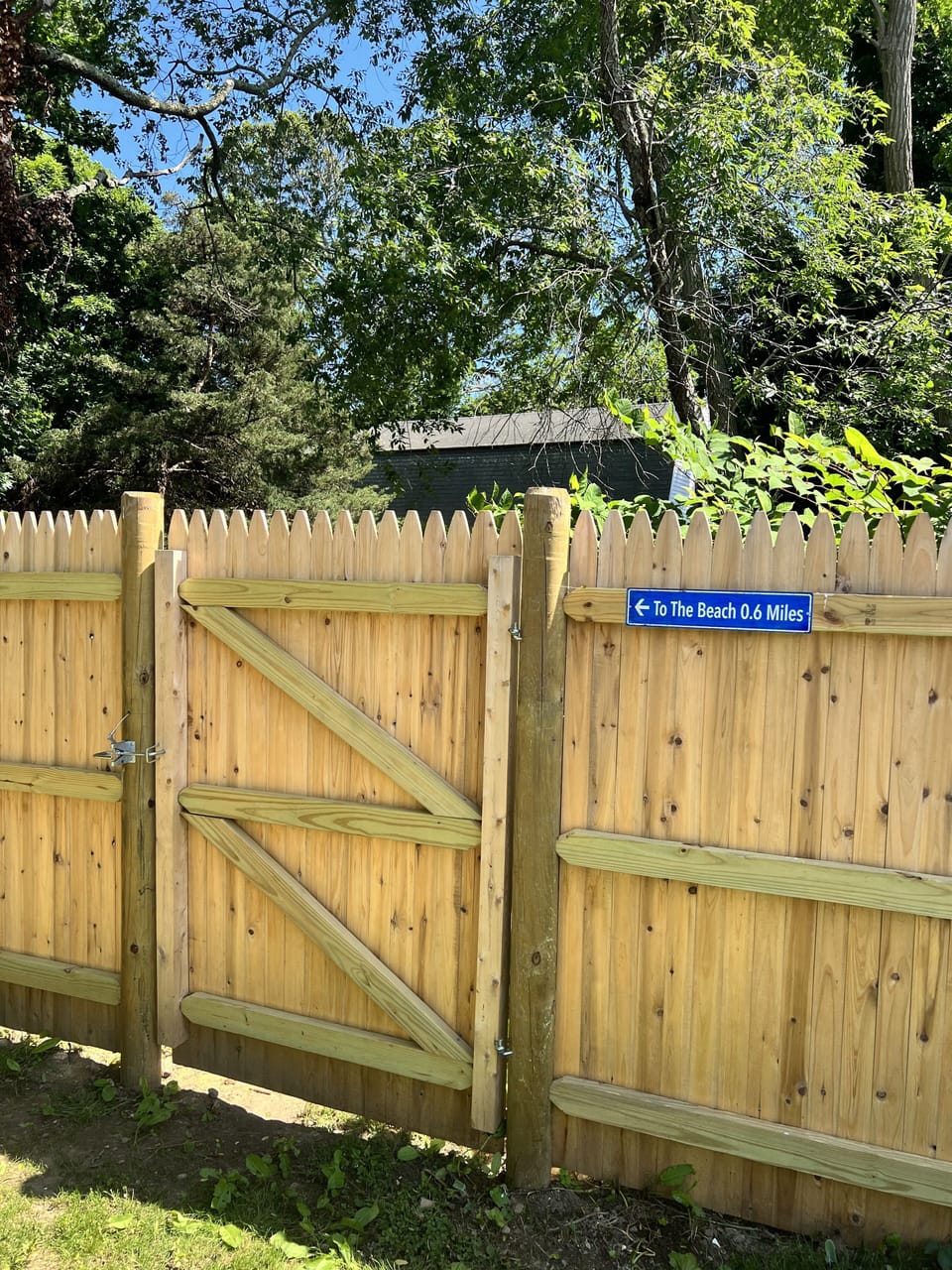 Gate in back yard