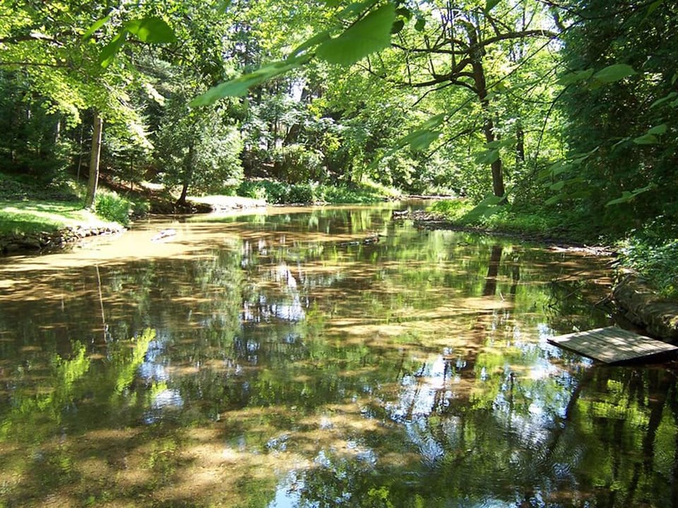 Beasley Creek is a short kayak or canoe ride away. Great for kids to play in.