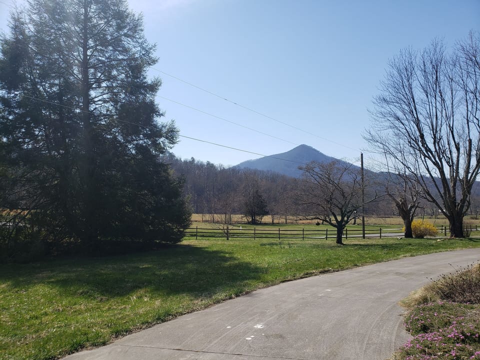 Looking down the driveway at the mountain