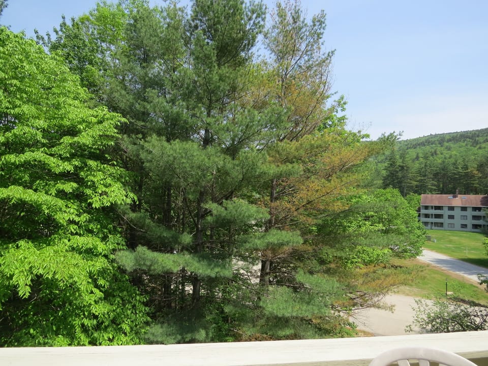 Upper Deck View