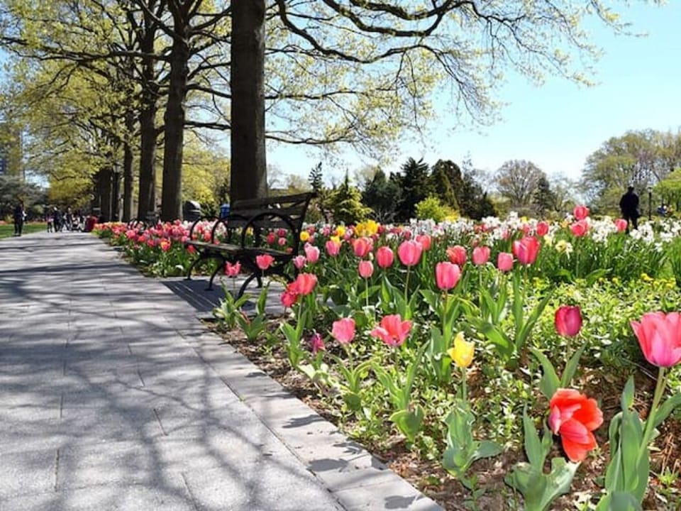 Nearby the Queens Botanical Garden