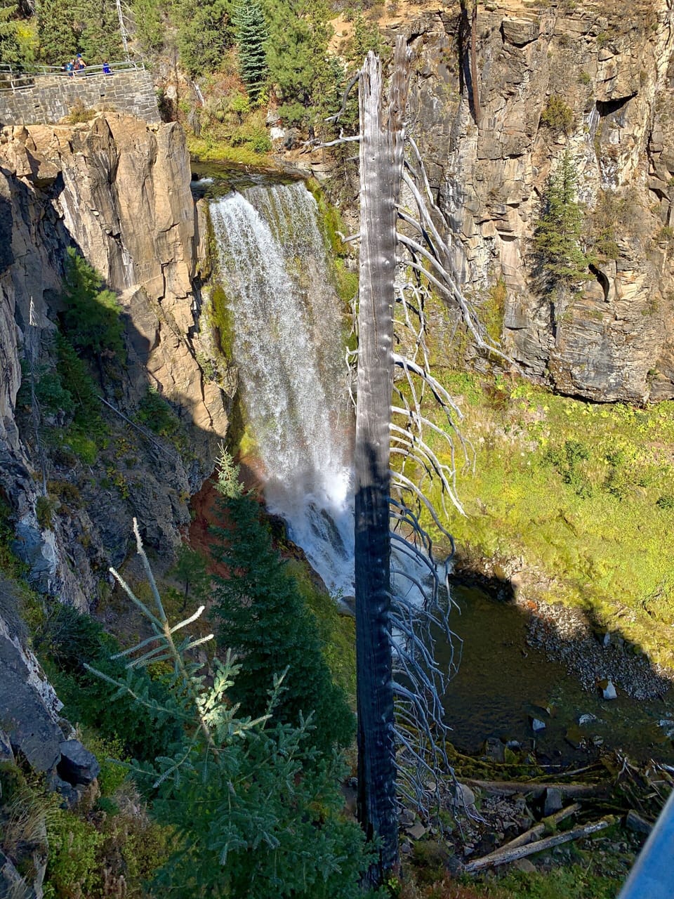 Waterfall 10 min away