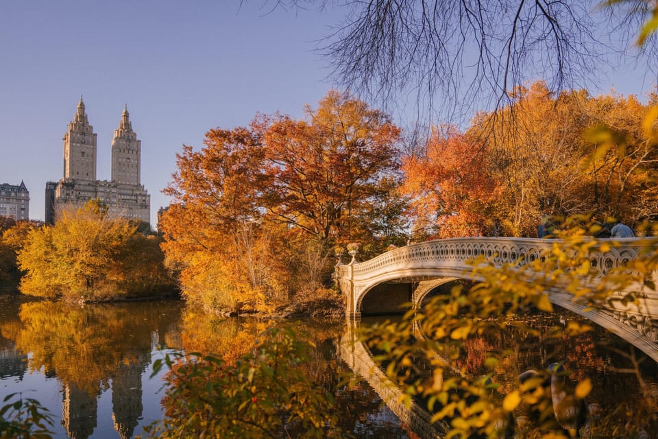     10 Miles from Central Park & Times Square  