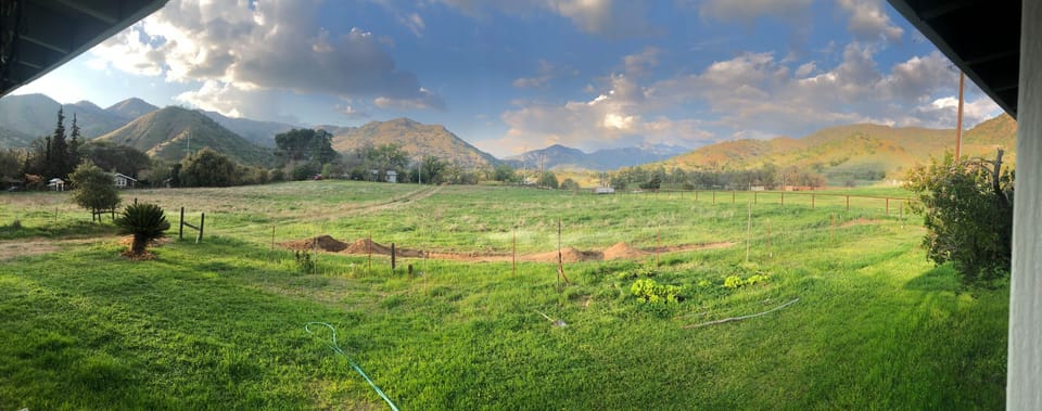 View from property