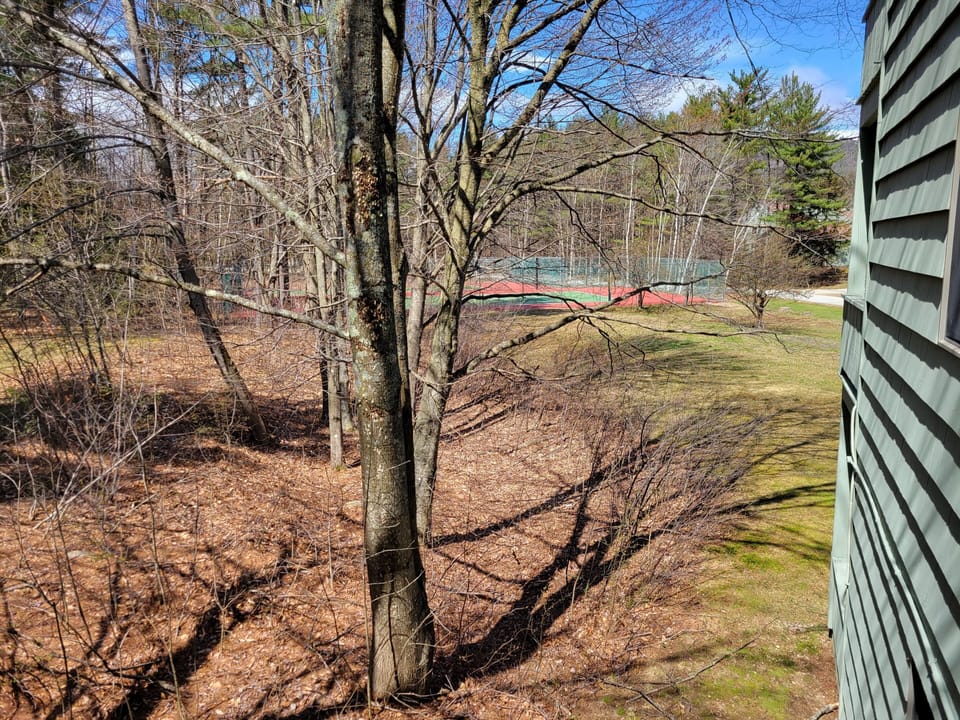 View from private deck