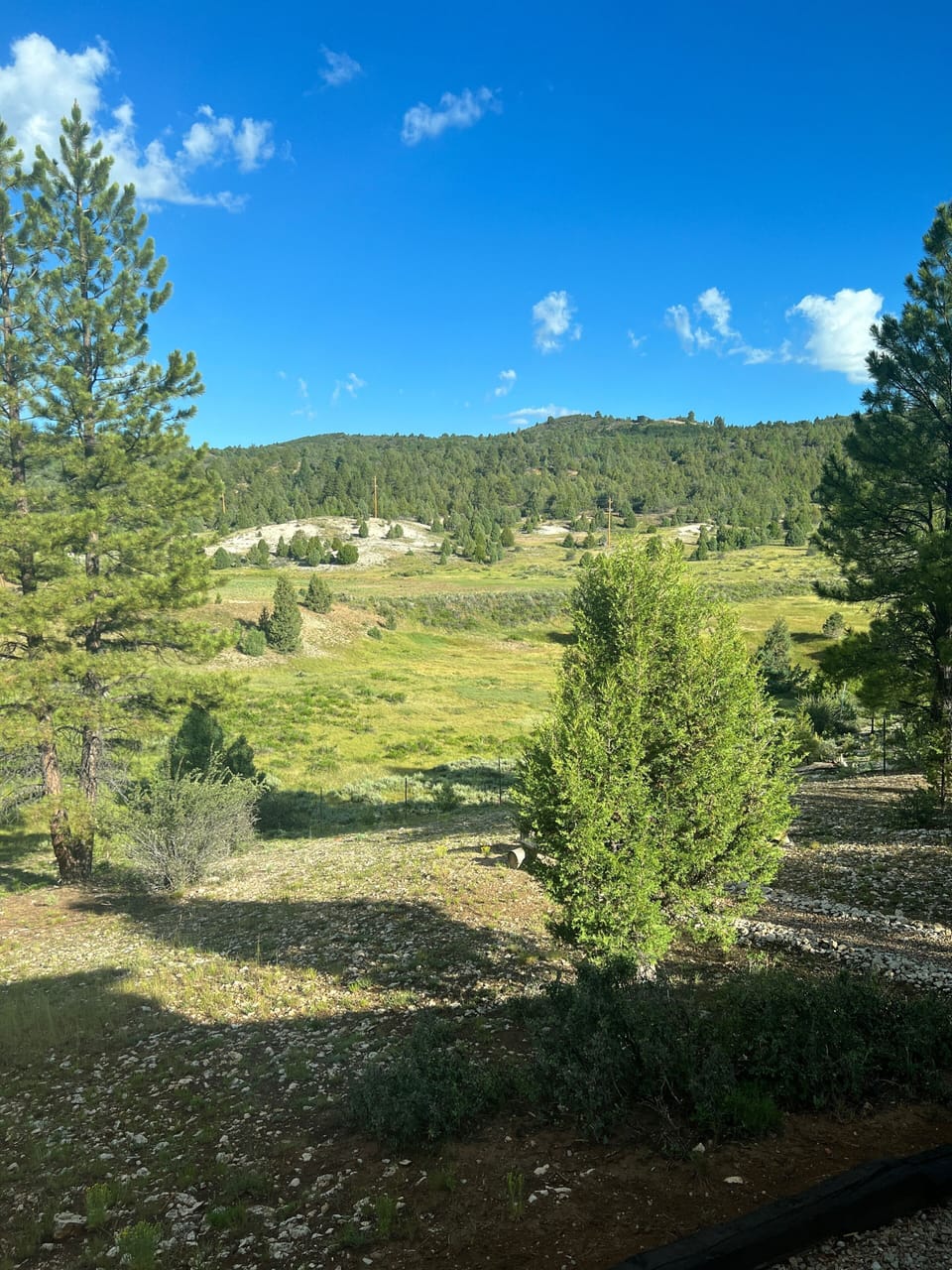 View from the porch. I love sitting out here in the morning with a cup of coffee