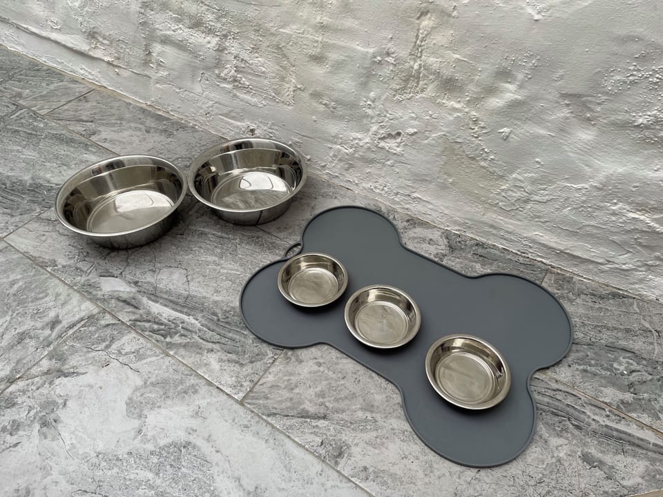 Dog bowls provided