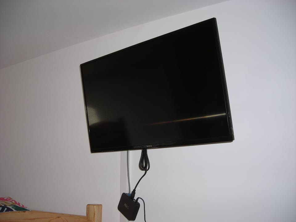 Television
