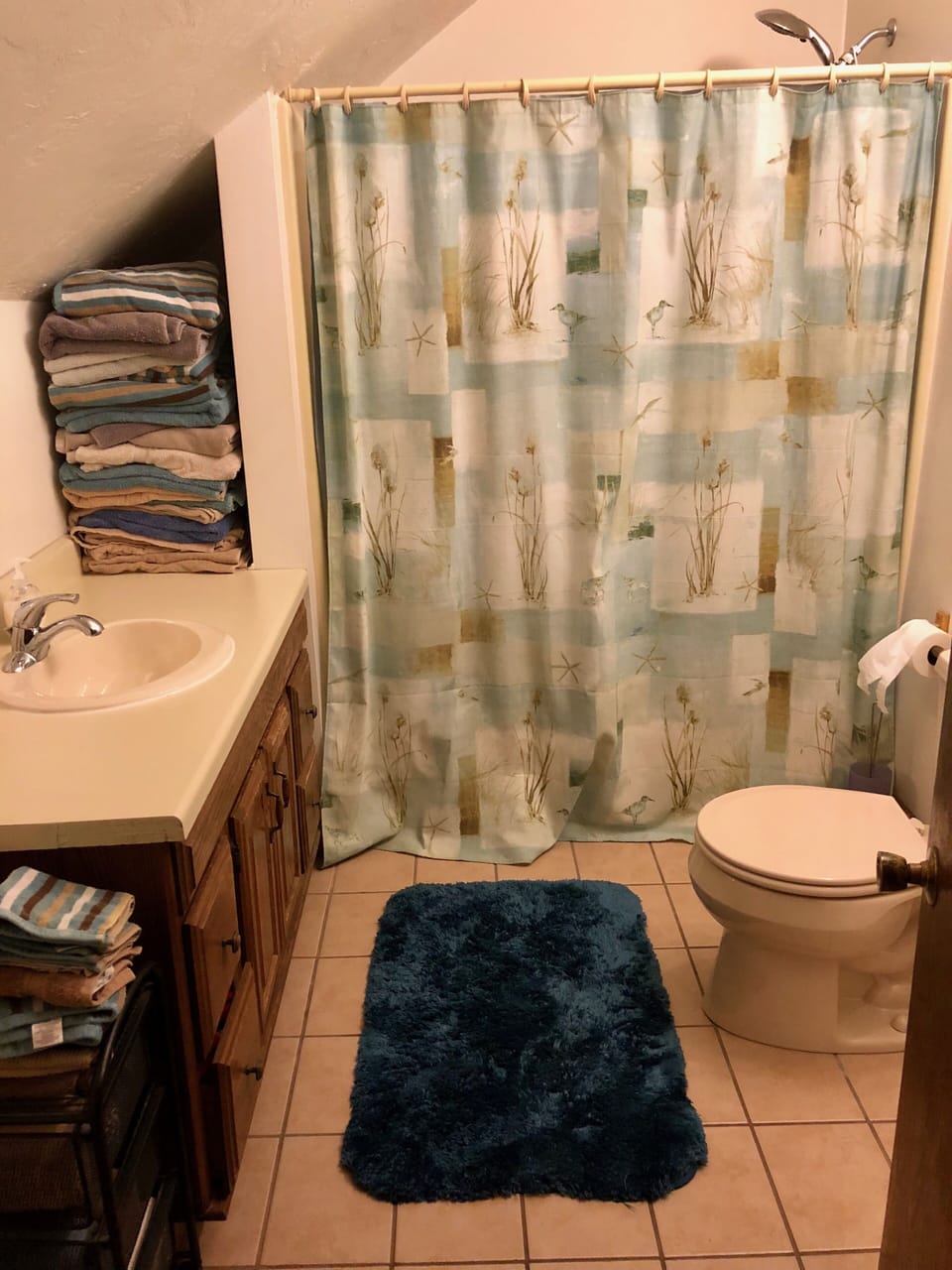 Shared Bath (by BR2 & BR3) upstairs across hall 