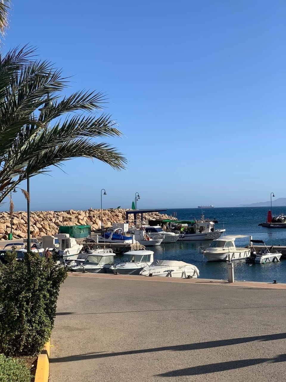 Villaricos fishing port in front of complex