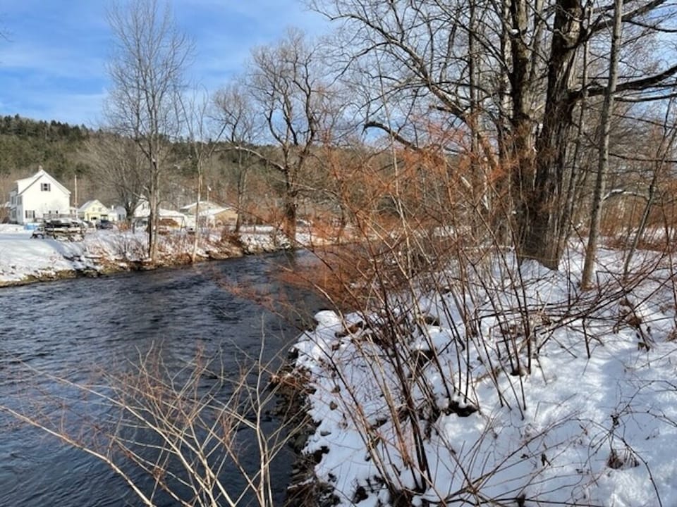 Black River in the backyard