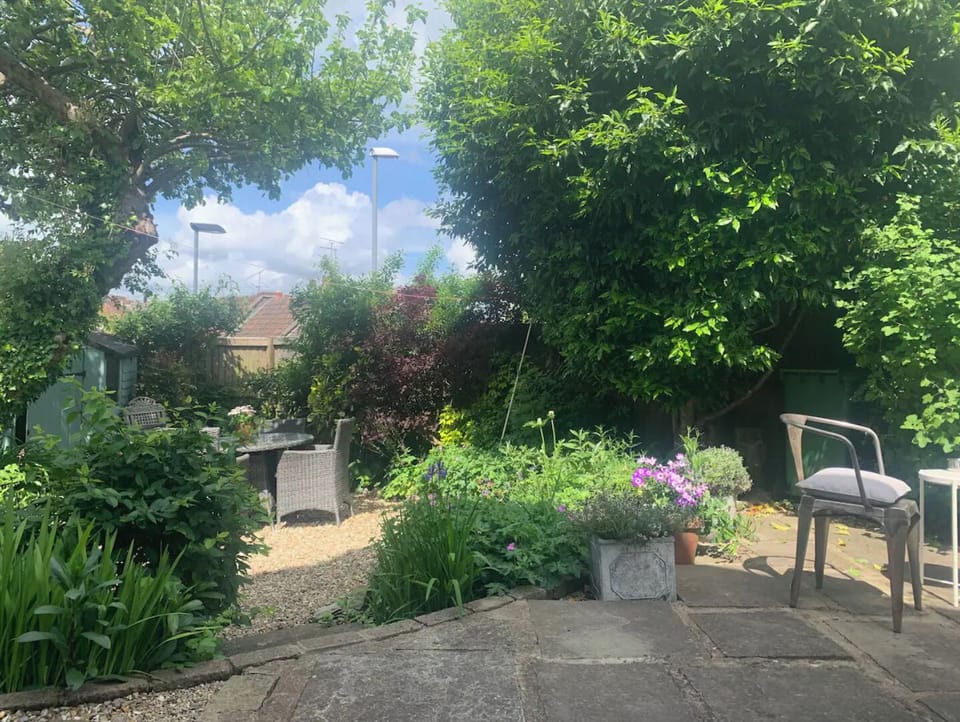 View of sunny courtyard garden.