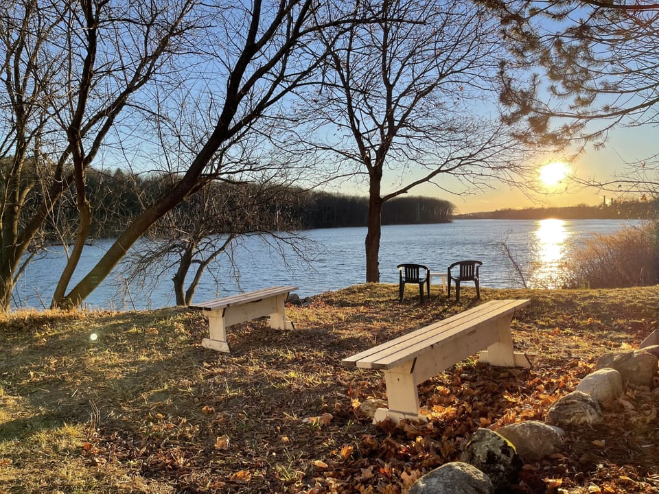 Autumn View