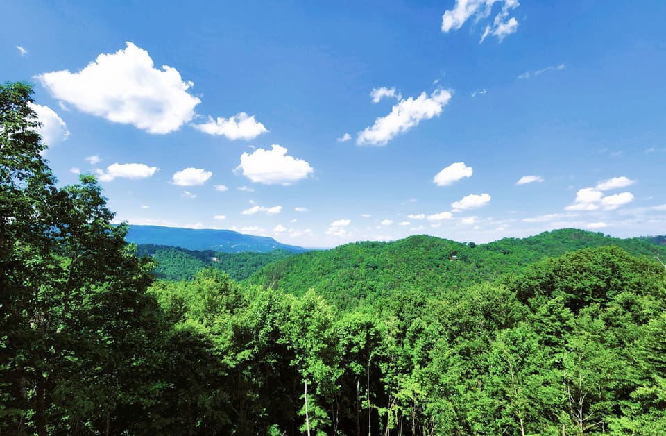 Amazing view from the cabin