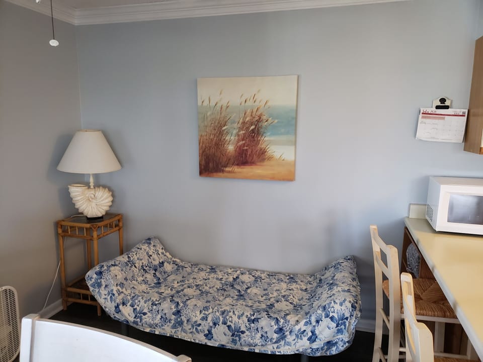 futon in main area