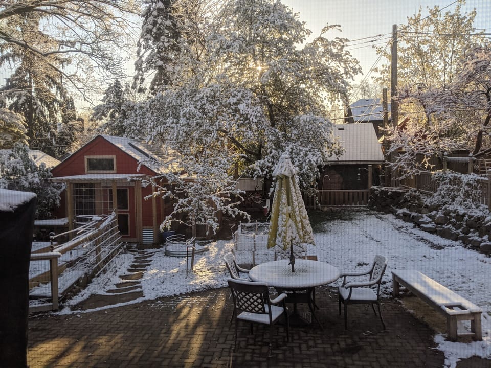 Winter in the back yard