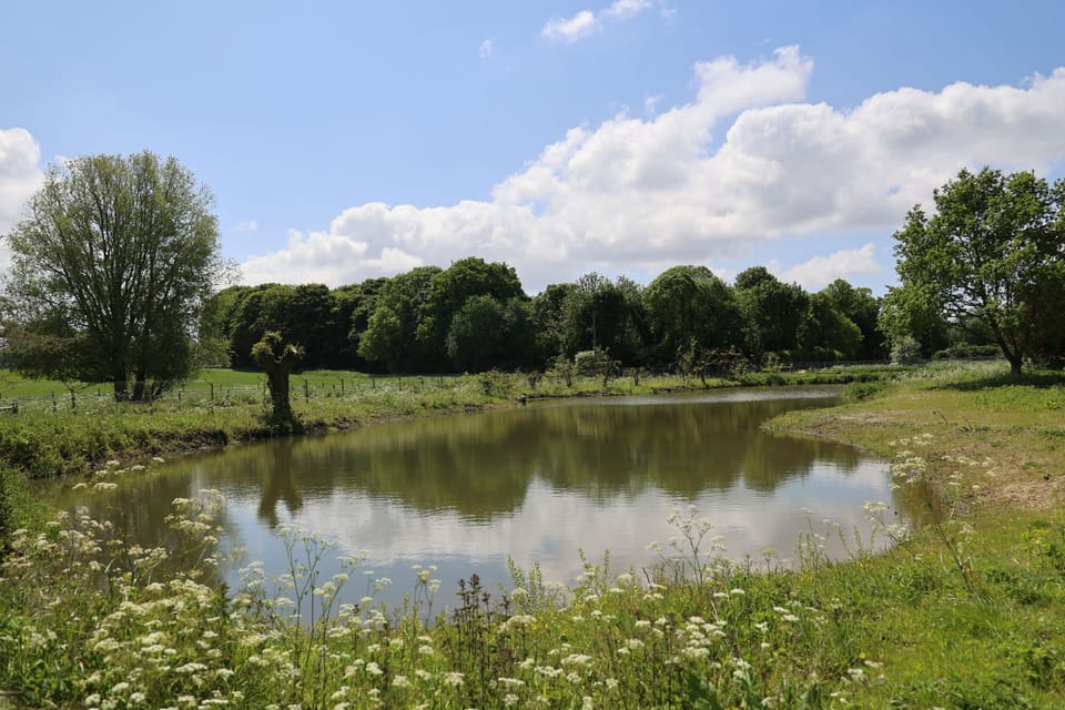 fishing lake open all year located on the main site 2 minutes from the cottages