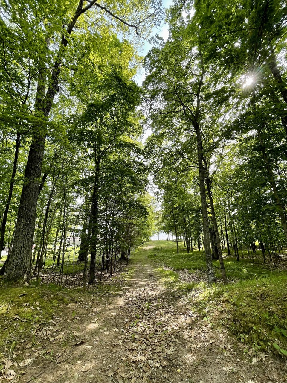 View from back porch. Path to Beach. 