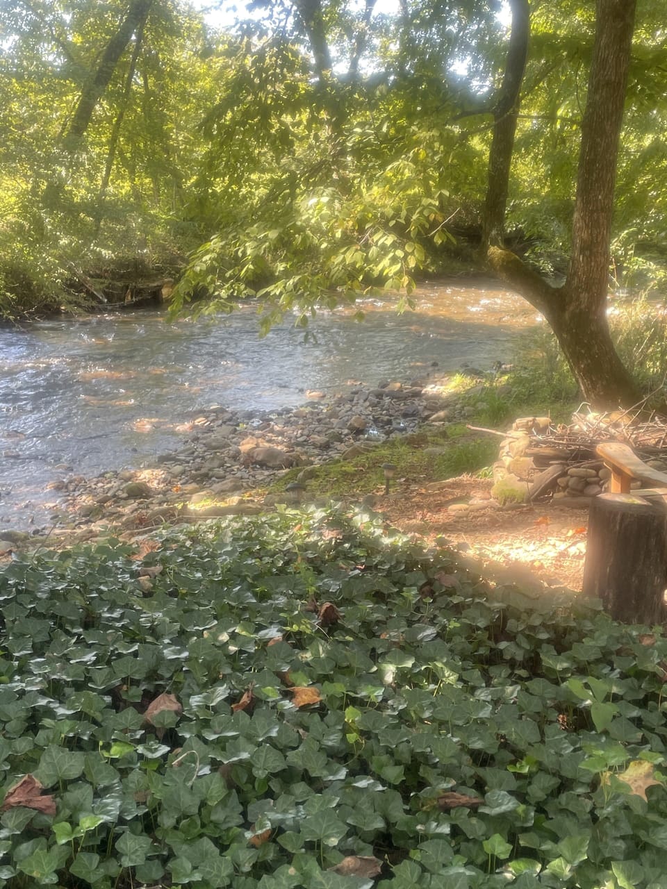 Summer view of the creek. 