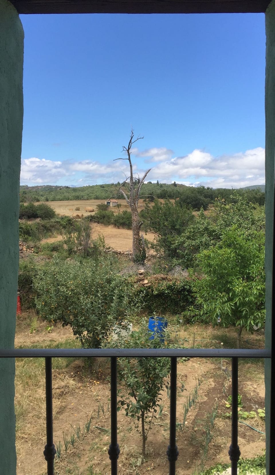 View from property