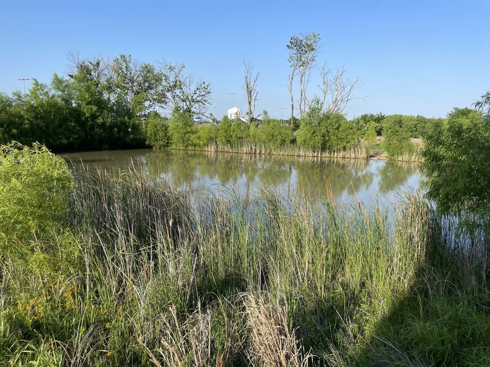 Nature preserve just adjacent from townhome
