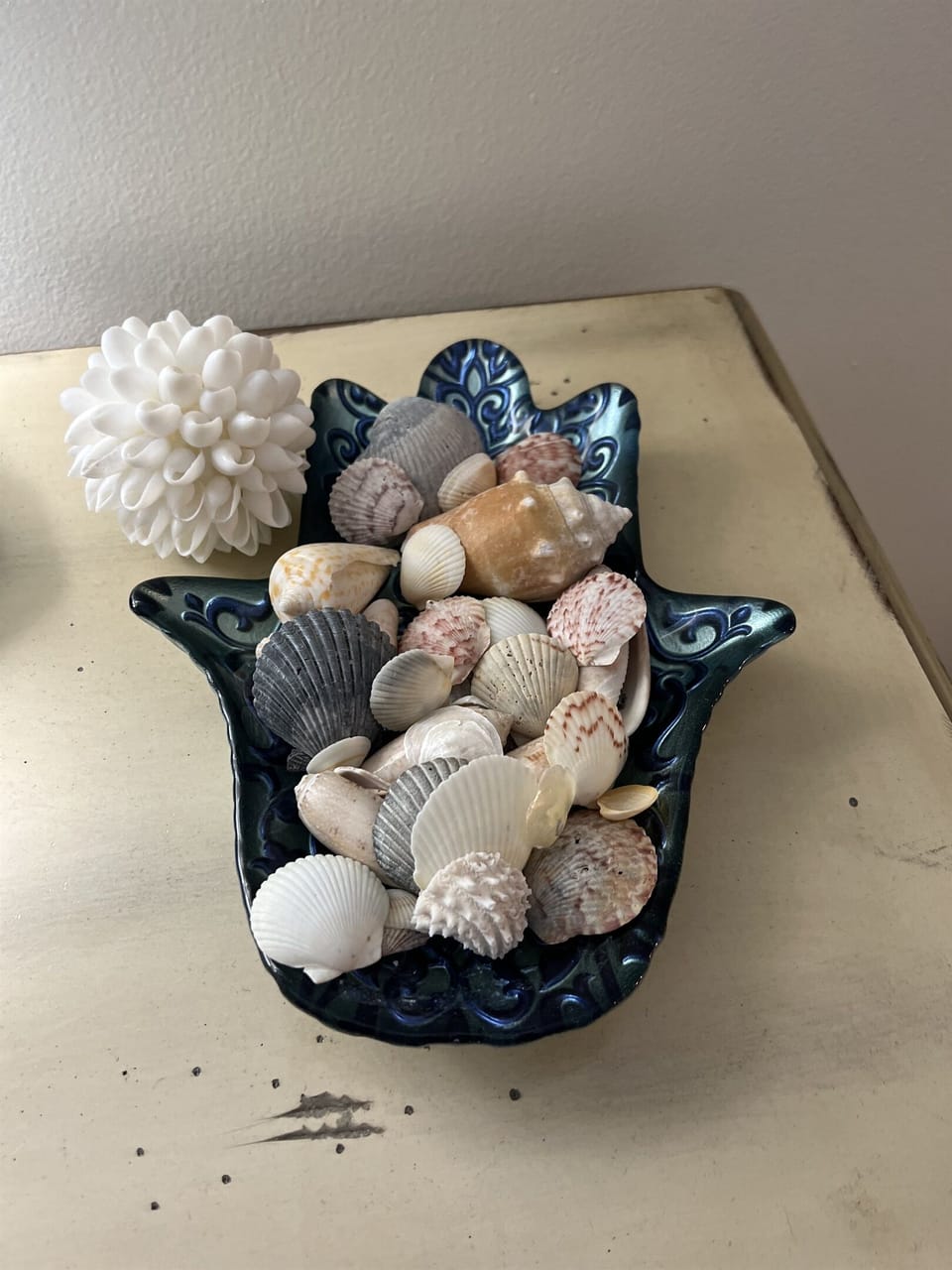 Seashells we found during our many morning walks along the beach.