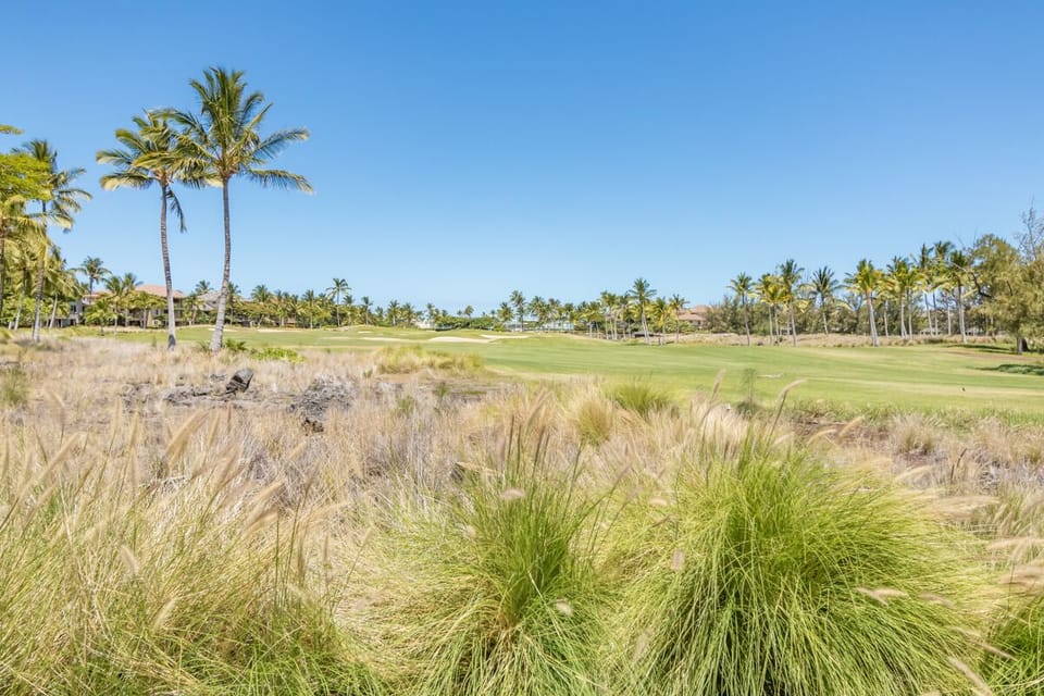 Golf course outside P1