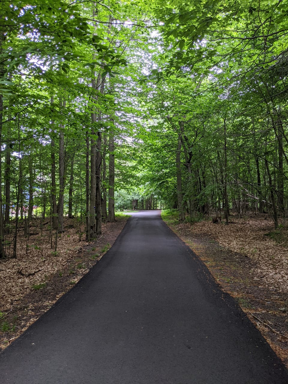 Private road leading to the house