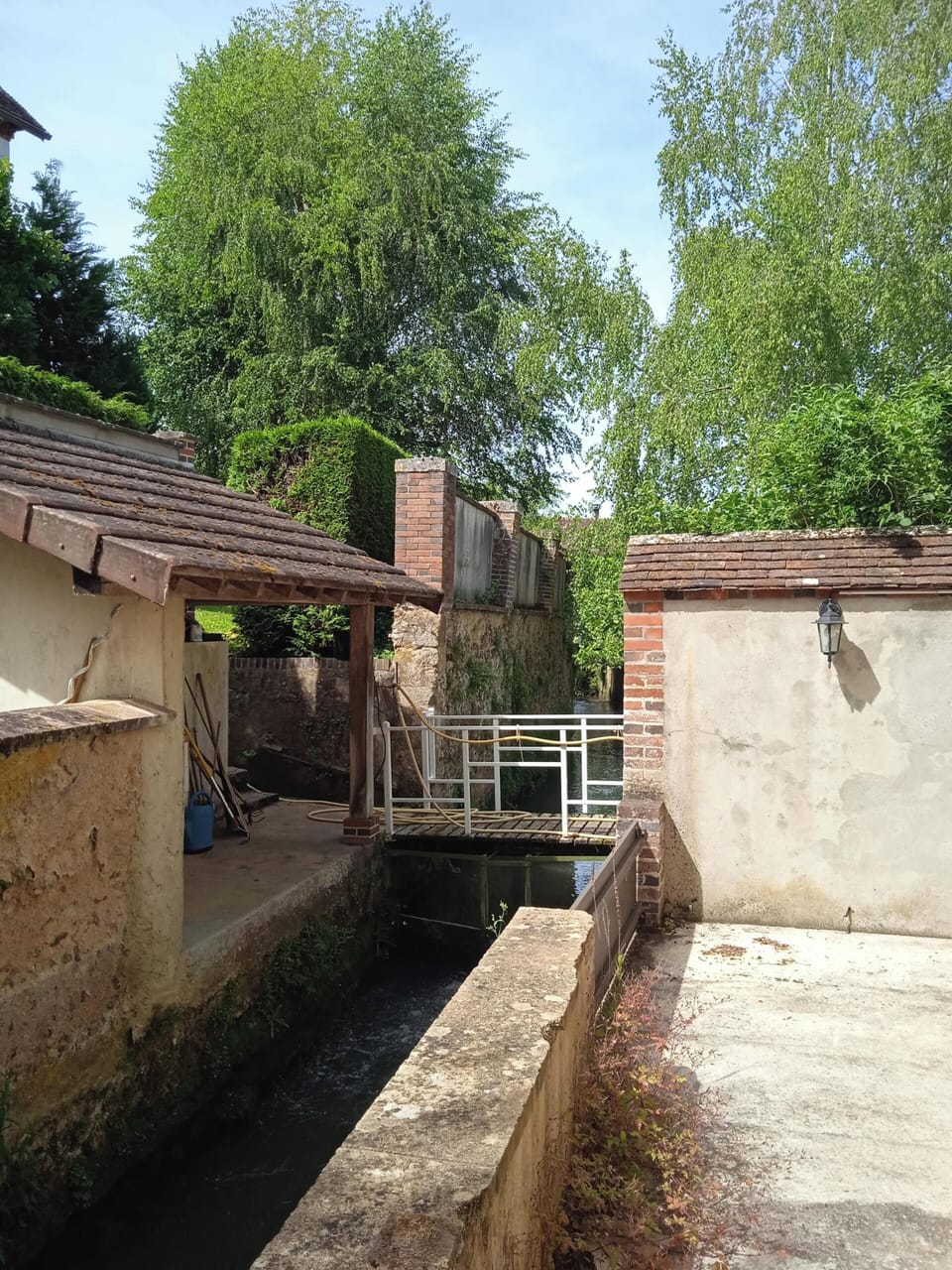 Back view