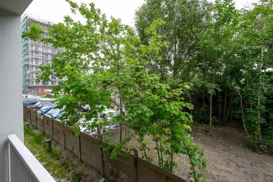 View of green outdoor space from a window, surrounded by lush trees and plants.
