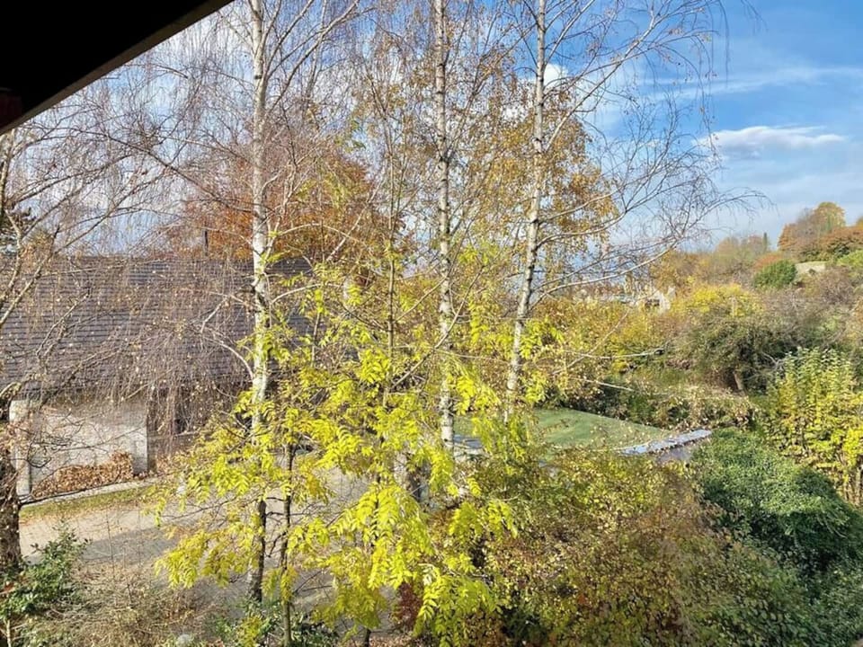 Vue terrasse
