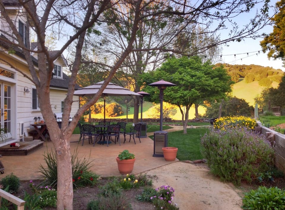 Back yard with views