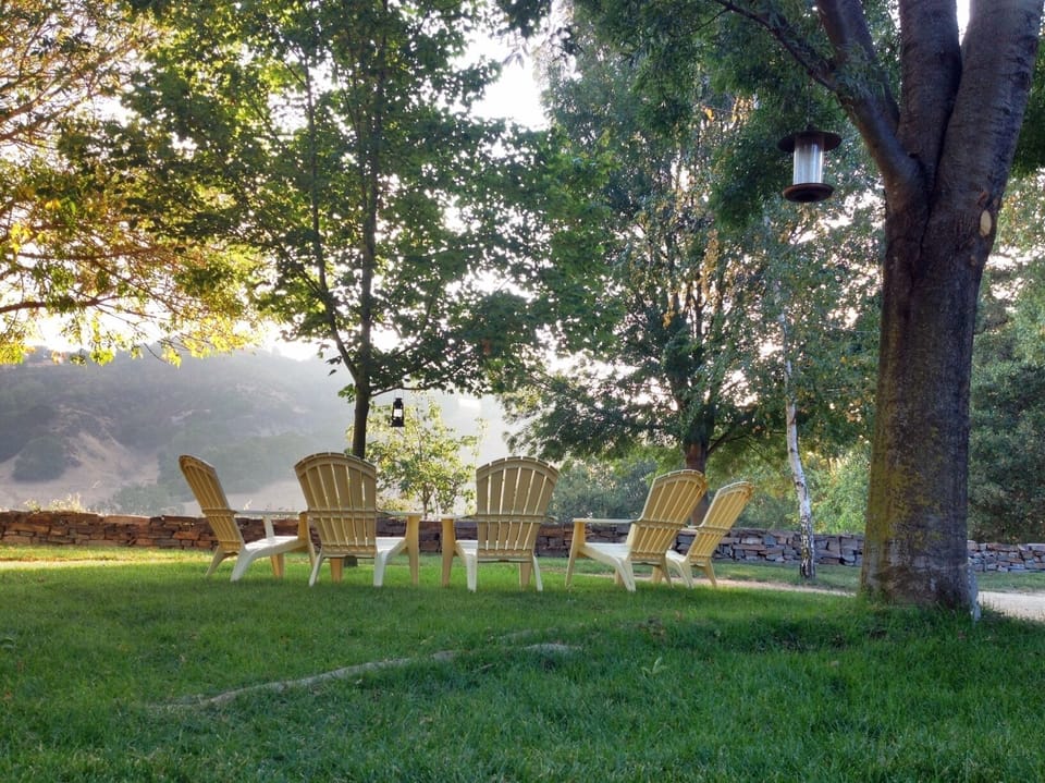 Back yard