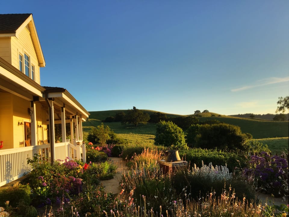 Front yard with picket fence.