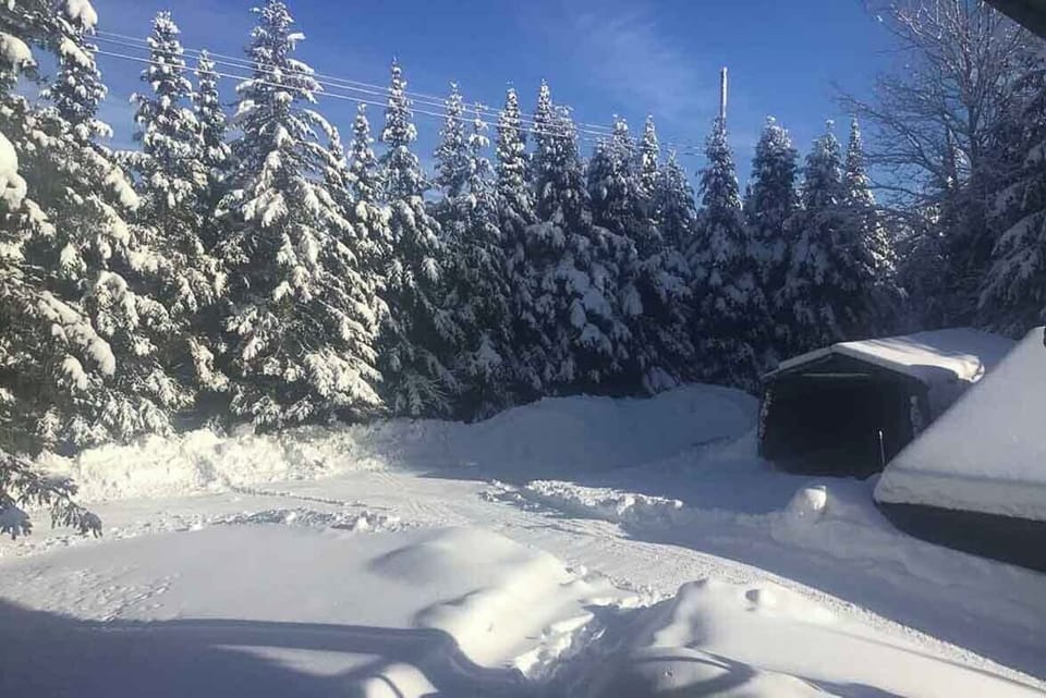 Winter wonderland