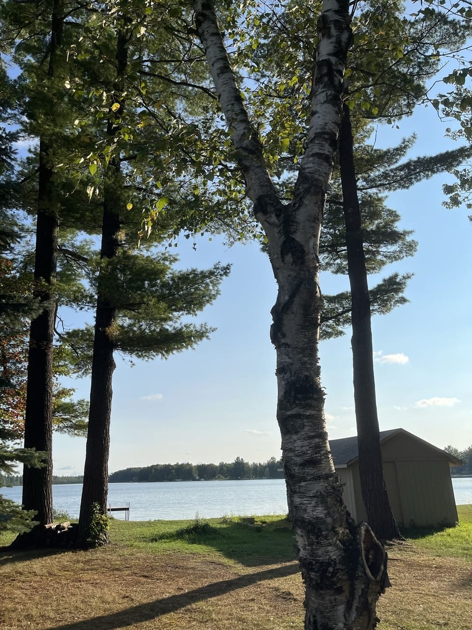 Nothing is more soothing than our lake views under the towering pine trees.