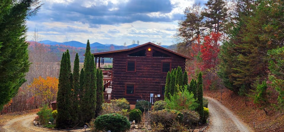 Views from the driveway coming onto property