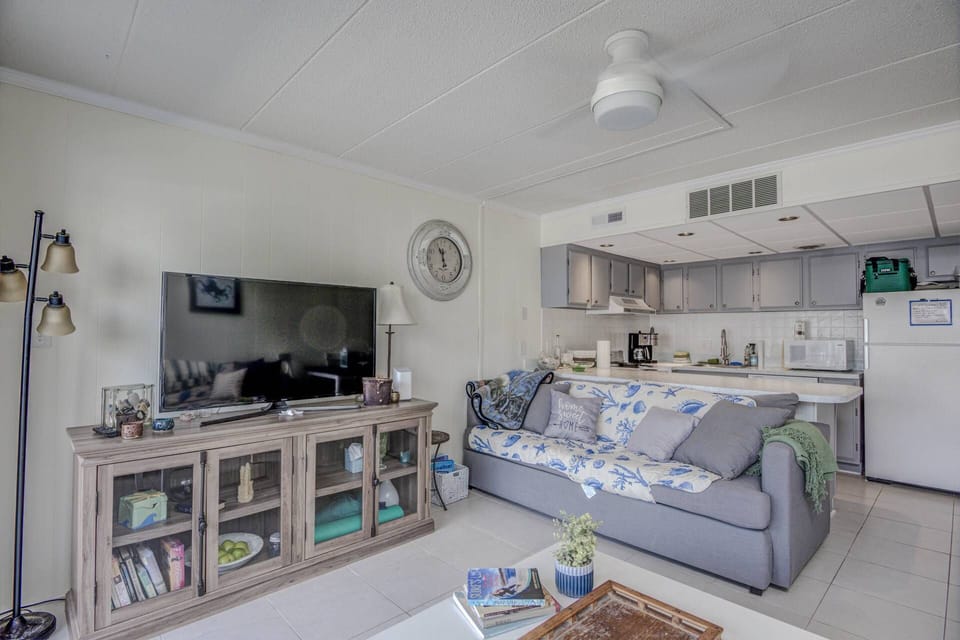 TV, Living Area, and View of Kitchen