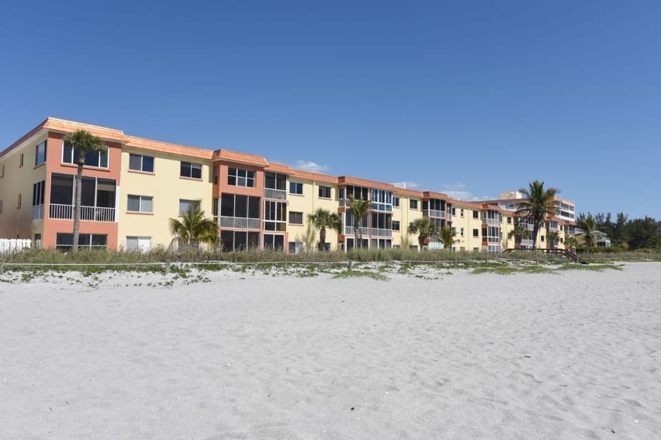 From Beach View