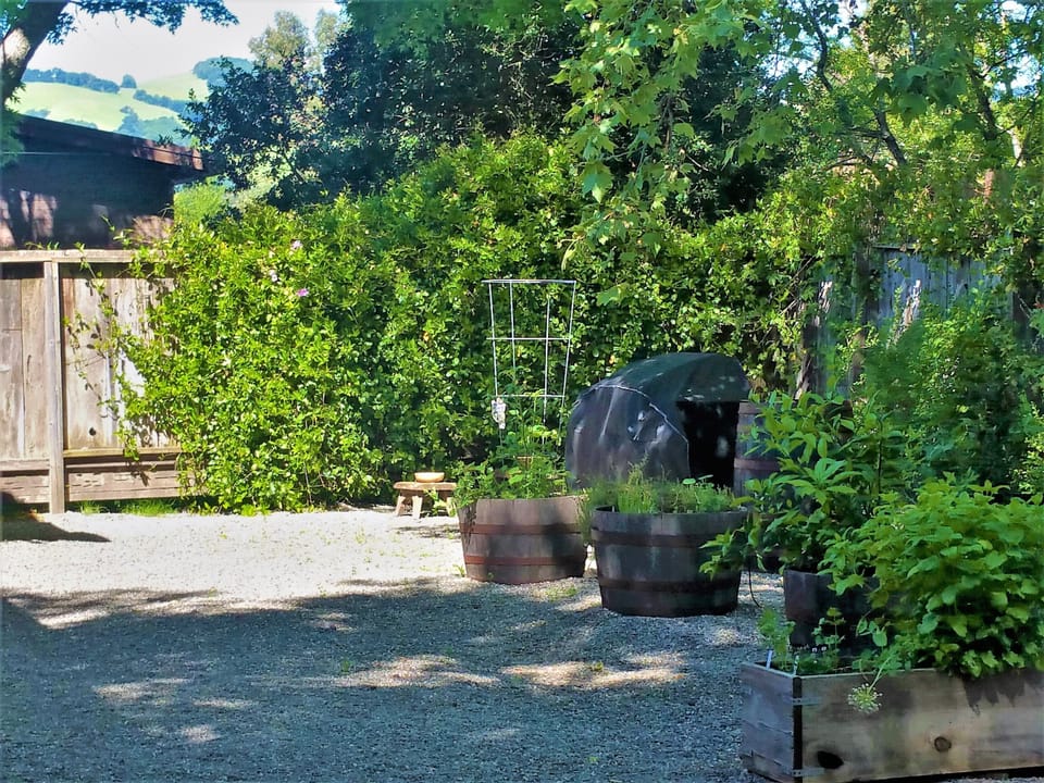 Courtyard with grill, table/chairs and wine barrel herb gardens for your use