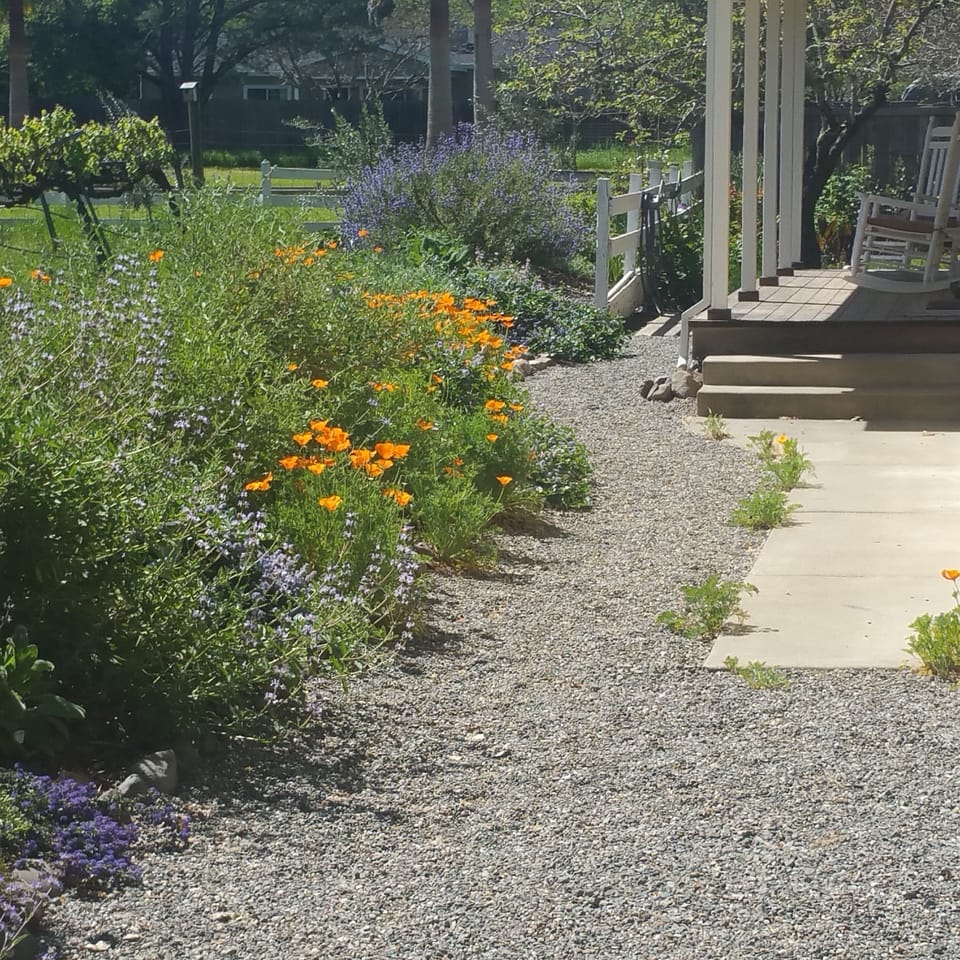 Front porch overlooking the native plant garden and vineyard