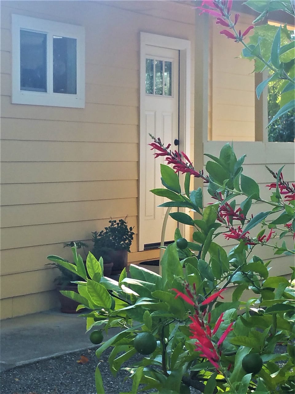 Courtyard entrance