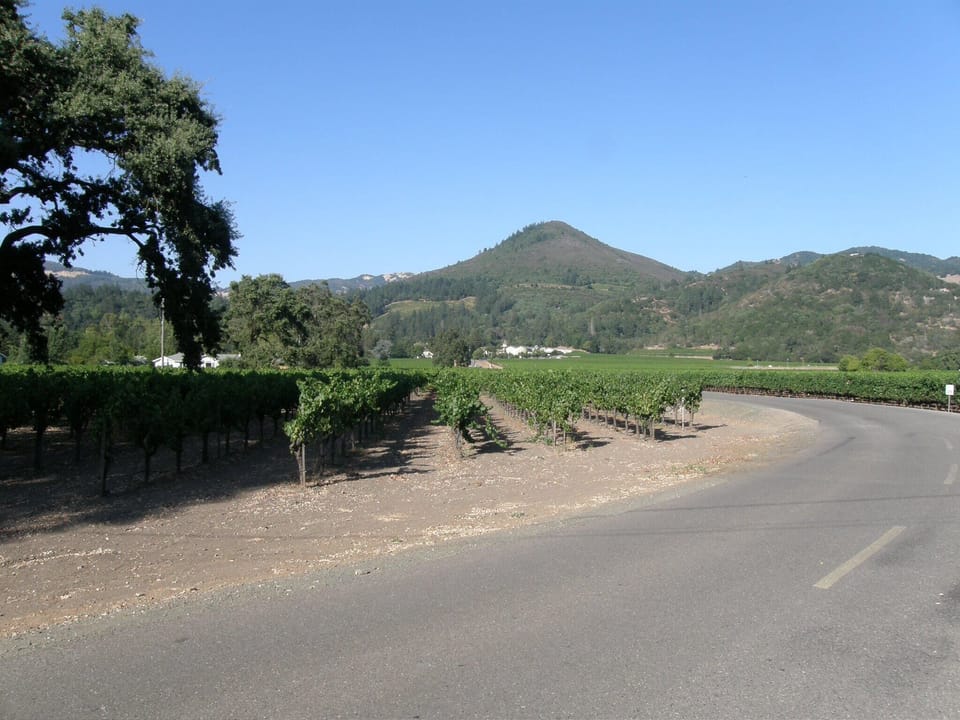 Nearby Chateau St. Jean Winery Driveway