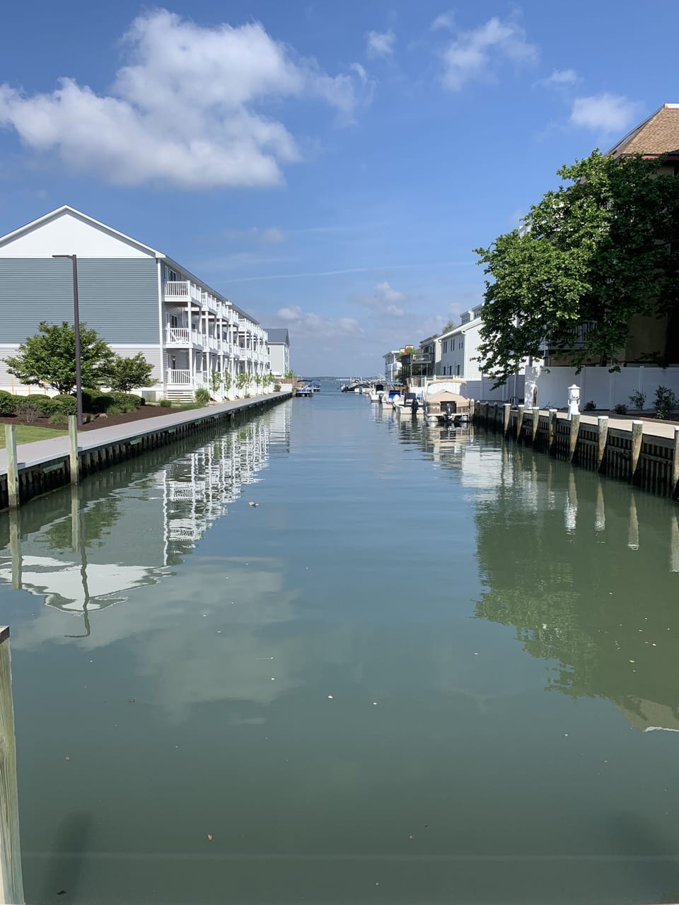 Marina