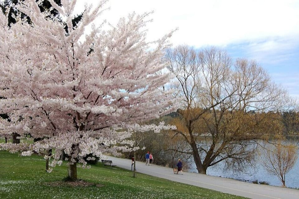 Green Lake Park