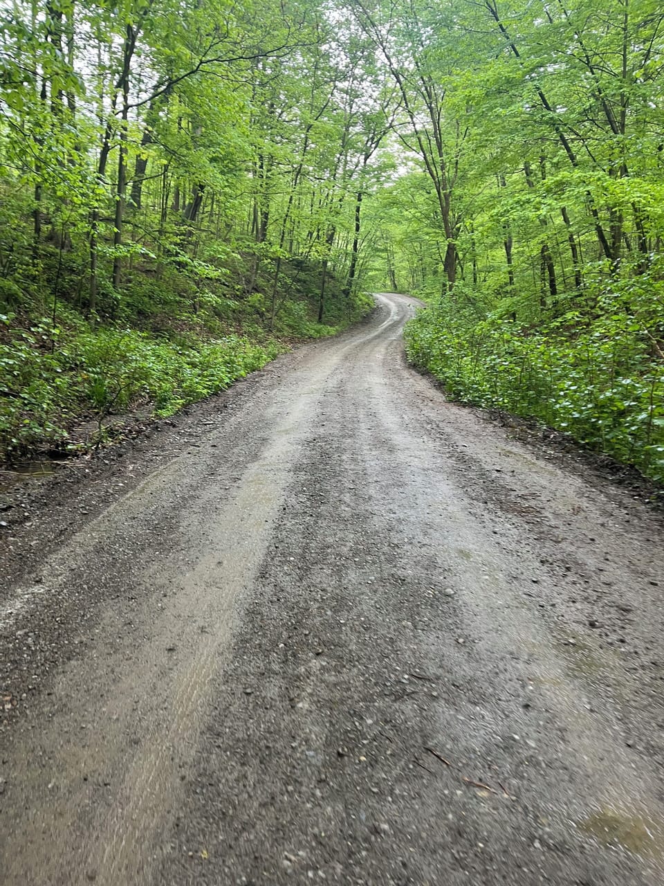 Rachel Carson Trail is located less than 300 yards from the property.