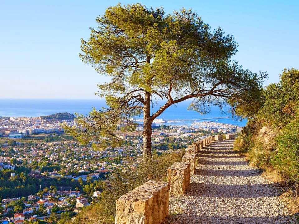 Sky, Plant, Ecoregion, Natural Landscape, Tree, Wood, Woody Plant, Grass, Landscape