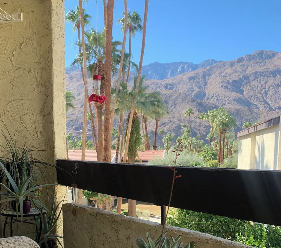 View from balcony with hummingbird feeder.