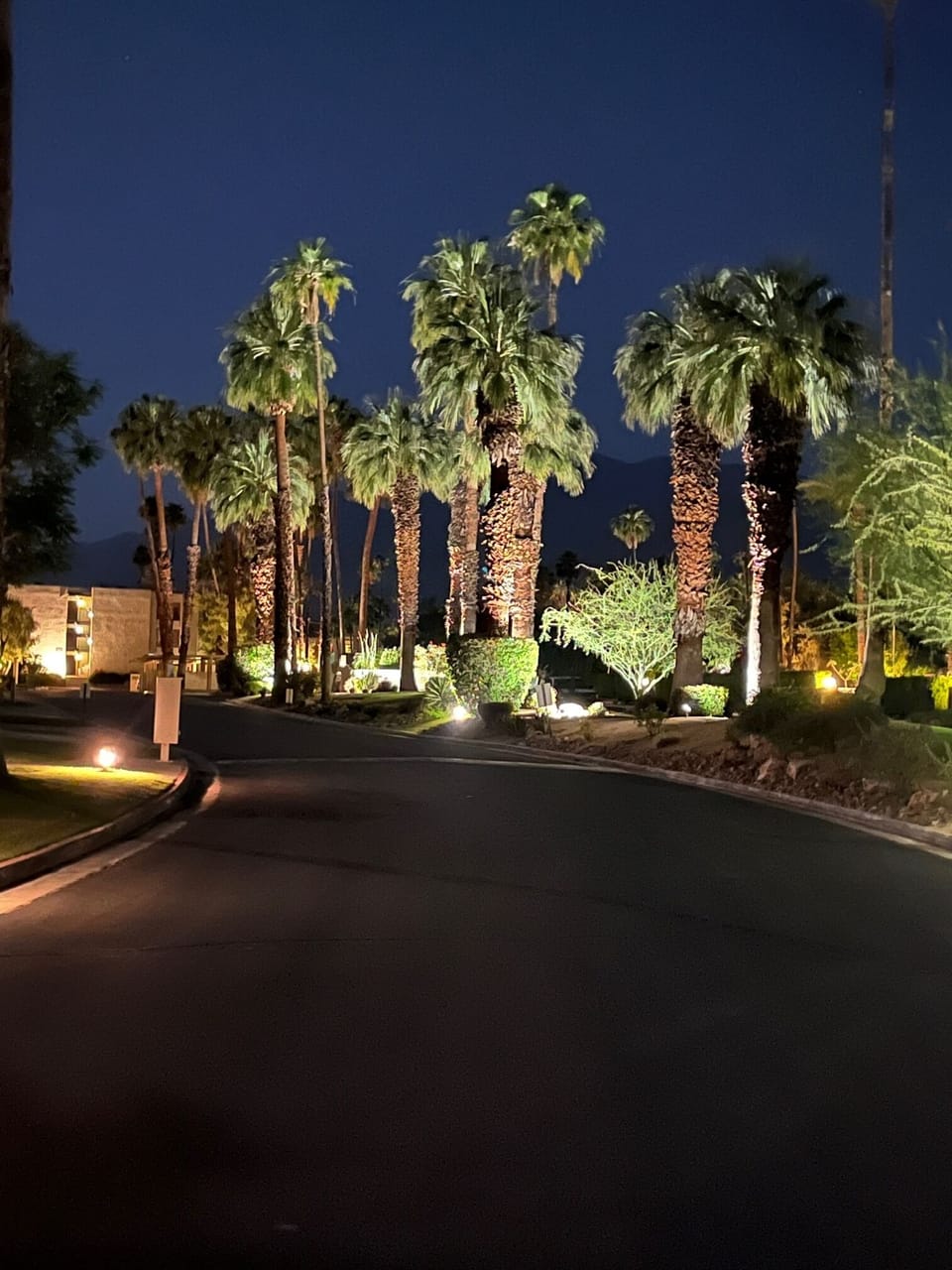 Camino Real (our street) at night. Inside the Biltmore grounds. 